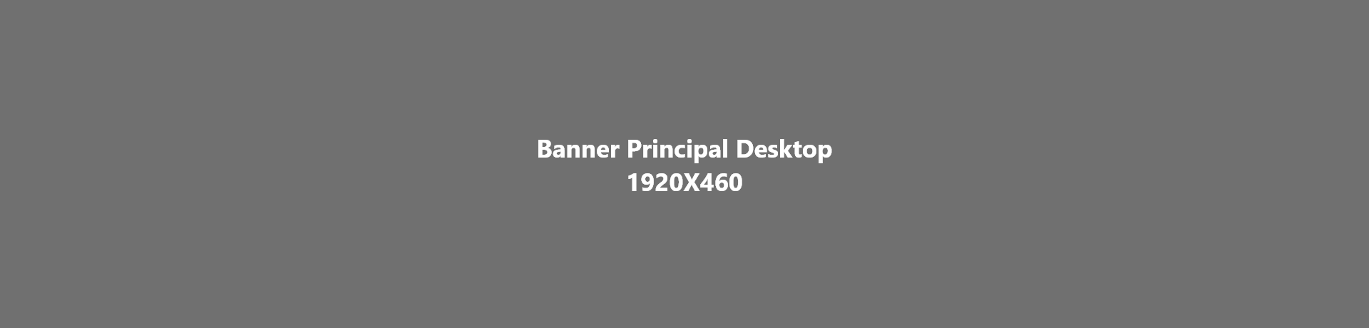 Banner Principal Desktop – 1