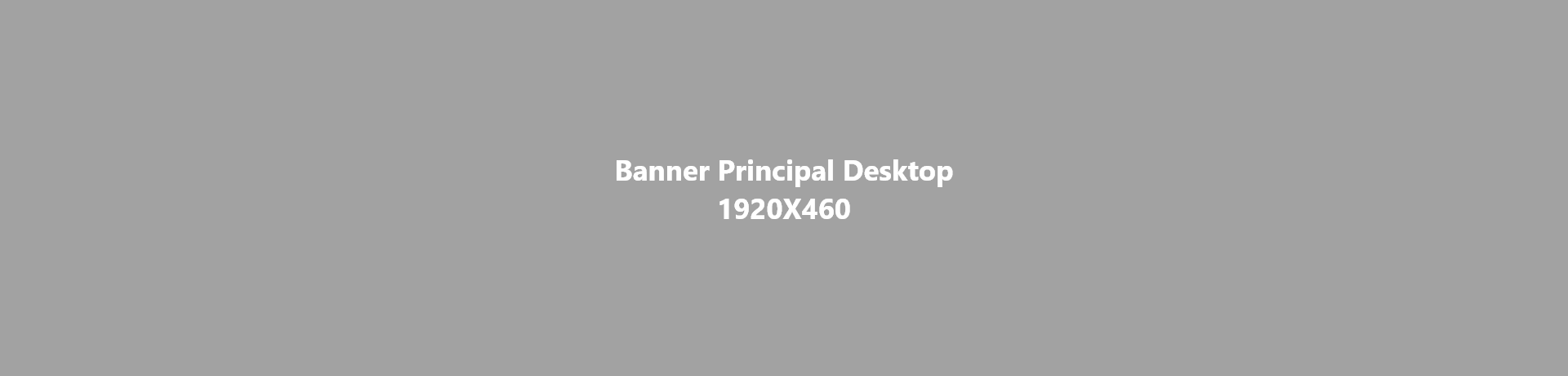 Banner Principal Desktop